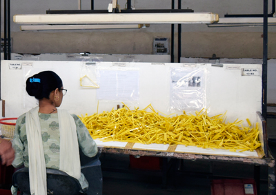 Printing and Assembly